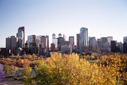 Calgary Skyline